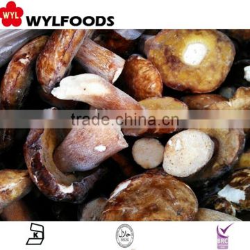 China Wild grade C IQF frozen boletus edulis mushroom price