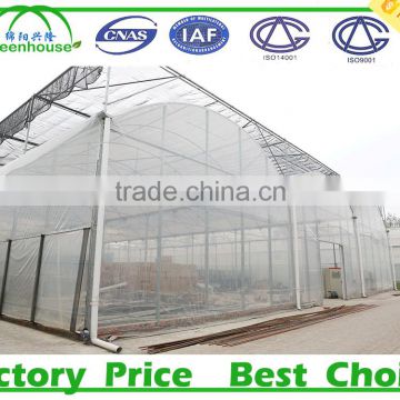 200 micron UV resistant multi span plastic film agricultural commercial greenhouse