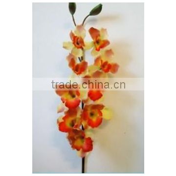 silk orchid