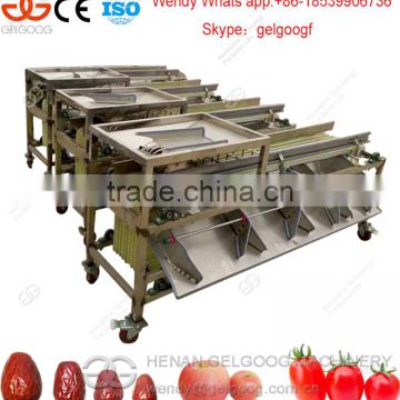 CE Approval Good Performance Tomato Grading Machine