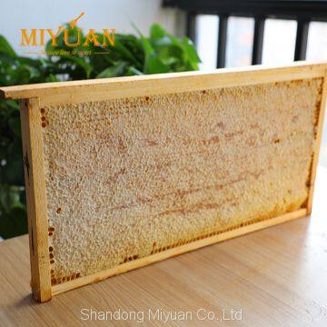 Premium Comb Honey from China raw honeycomb