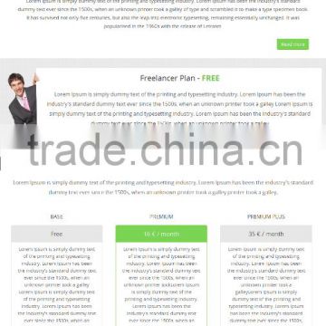 online bidding site design,professional seo service
