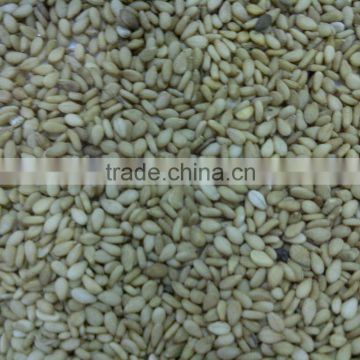 High quality of golden Sesame seeds