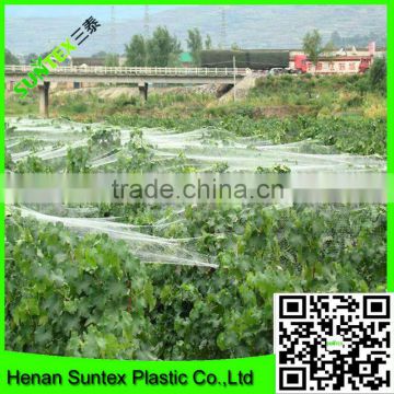 virgin HDPE extruded fish pond cover anti bird netting with UV treated