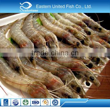 alibaba gold supplier frozen vannamei seafood shrimp frozen