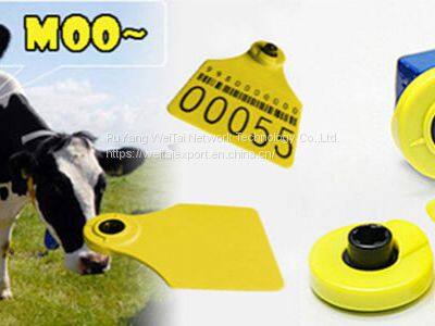 UHF ear tags for animals RFID tag is very popular in China