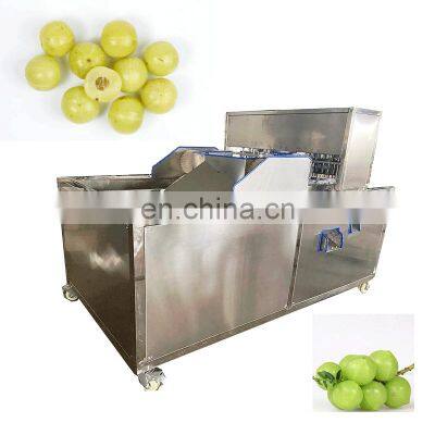 Newest Longan Cherry Sweet Date Olive Prune seed Remover Pitter