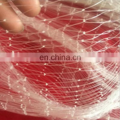 Wholesale Price Bird Hunting Invisible Nylon Netting for Vineyard Protection