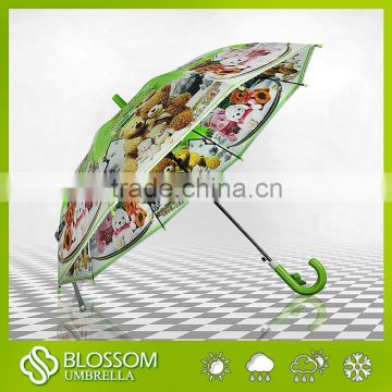 Unique Pictures Printing Rain Poe Umbrella for kid
