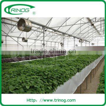 NFT hydroponics cultivation system for lettuce