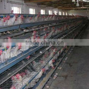 Chicken Cage / wire mesh cage / chook cage