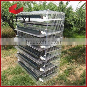 Metal Iron Wire & Galvanized Wire Quail Breeding Cage Desgin