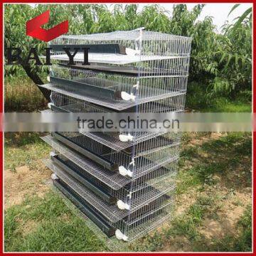 Quail Battery Cage Kenya Sale