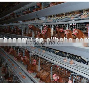 chicken coop equipments for poultry farms