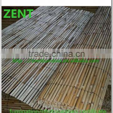 ZENT -67 natural reed fence manufactuer