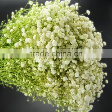 Fashionable hot sell real touch purple gypsophila