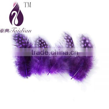 dyed guinea feathers,wedding party decoration clothing accesoried purple guinea feathers