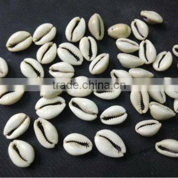 handmade cowrie shell beads with drilled holes for use as necklace pendants