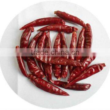 DRIED RED CHILLI