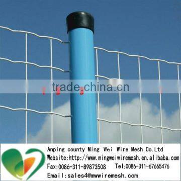 High quality Factory Supply Welded Holland Wire Mesh fencing