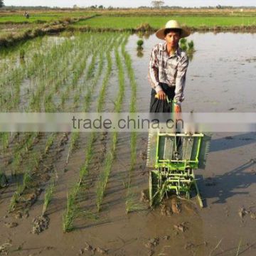 China factory best price of manual rice transplanter for sale