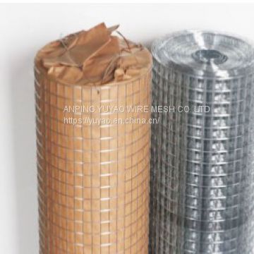 hot dipped galvanized or electric welded wire mesh cloth price