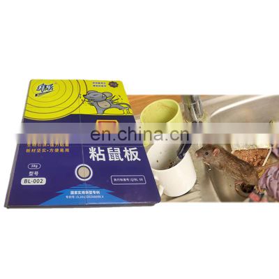 New Product in Home Easy to Use Stringy Hameln for Tough Mouse Glue Trap