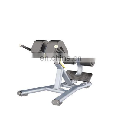 Gym Factory Exercise Machine High quality weight training commercial gym fitness equipment super adjustable bench back extension bench