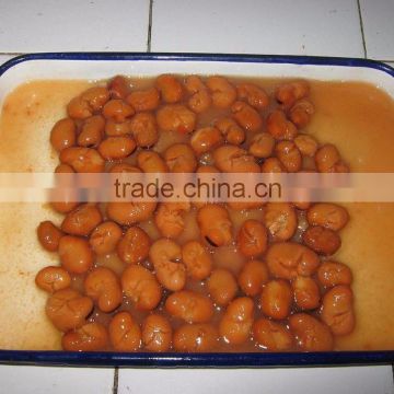 best price canned broad beans/foul medamas from the biggest supplier in China