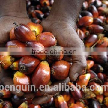 2016 new technology oil palm processing equipment