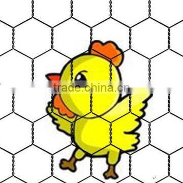 hexagonal wire mesh/chicken wire mesh/hexagonal wire netting/poultry wire mesh(dingzhou factory)