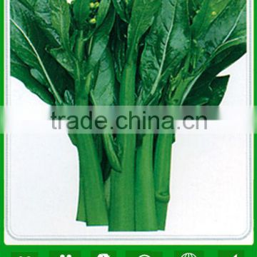 CS04 Dazhong 80 days cold resistant choy sum seeds of vegetable seeds