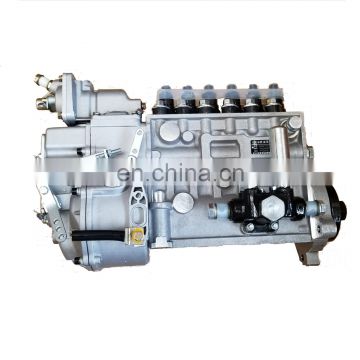 shanghai c6121 diesel engine fuel injection pump longbeng P10Z010 BH6P110
