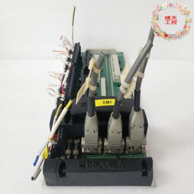 TRICONEX 2201/CM2201   embedded control system