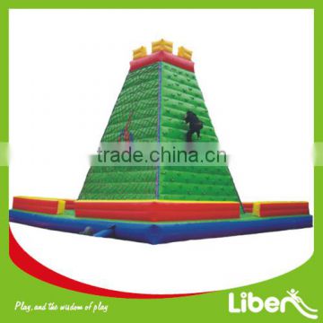 Giant Climbing Inflatable Bouncer for Adults and Children LE.CQ.094