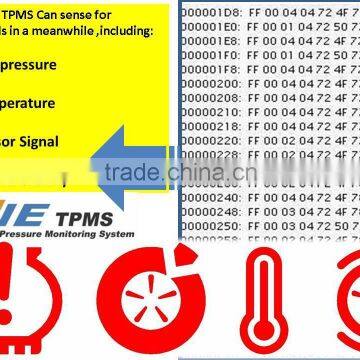 AVE TPMS rs232 output your best driving connection