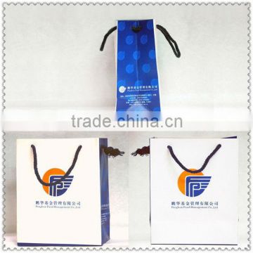 2013 deluxe brand laminated gift paper bag