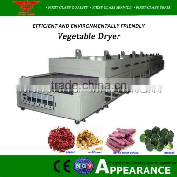 2017 high capacity and nice performance professional stainless steel red dates drying machine