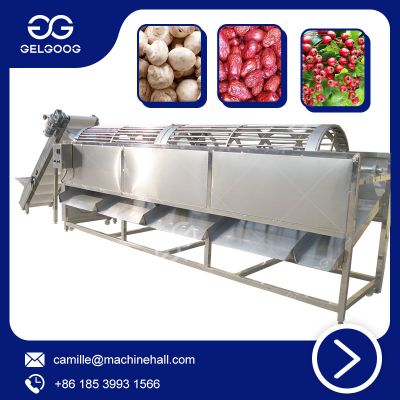 Small Fruit Sorting Machine High Quality & Best Price Multifunctional Vegetable Classifying Machine