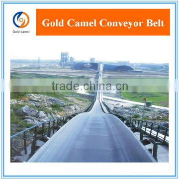 Nylon Canvas Conveyor Belt For Conveying Systems