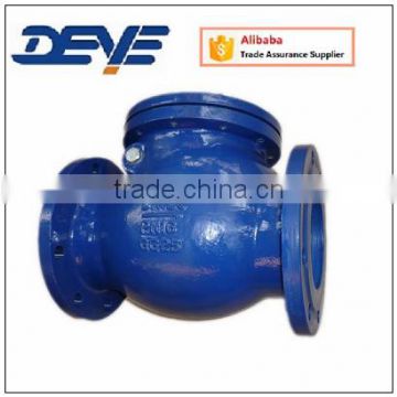 Brass or Bronze Seal GG25 Swing Check Valve with PN10 PN16 Pressure Hydraulic