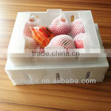 Corrugated plastic fruit packing boxes
