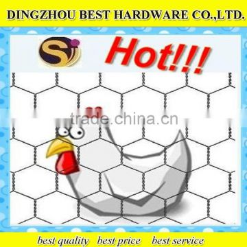 galvanized chicken wire netting