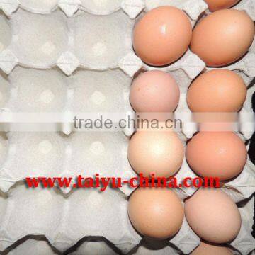 30 eco-friendly paper pulp egg tray
