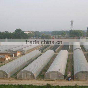 Low cost film tunnel greenhouse side roll irrigation system
