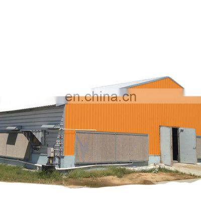 Qingdao cheap modular modern light steel structure poultry factory for layer and broiler chicken shed