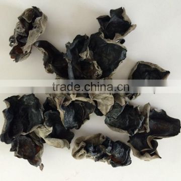 Factory Price Dried Black Fungus