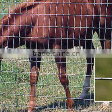 long-lasting farm wire mesh fence