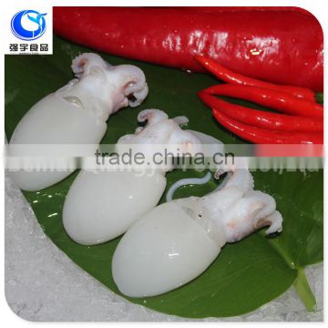 frozen seafood baby cuttlefish whole clean