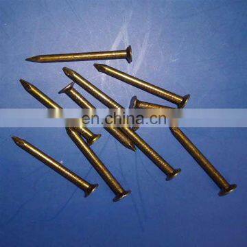 high quality galvanized concrete cement steel nails